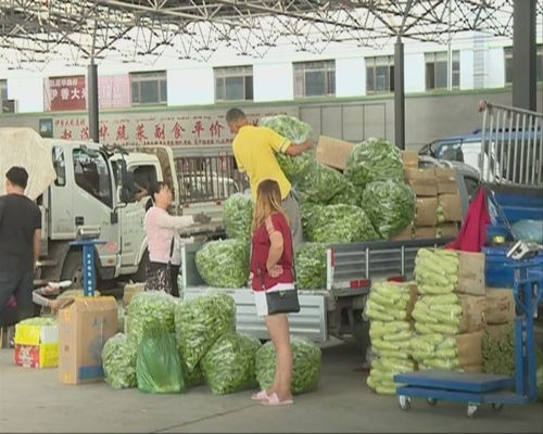 本地瓜果蔬菜主導(dǎo)食用農(nóng)產(chǎn)品批發(fā)市場(chǎng)