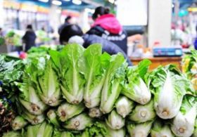 遼寧全面推行食用農(nóng)產(chǎn)品批發(fā)市場進(jìn)貨批批檢驗(yàn)制度