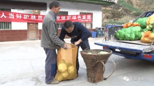 萬源 食用農(nóng)產(chǎn)品憑證上市，打造質(zhì)量安全新名片