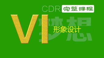 VI企業(yè)形象設(shè)計 從辦公用品到企業(yè)畫冊的全方位視覺策劃